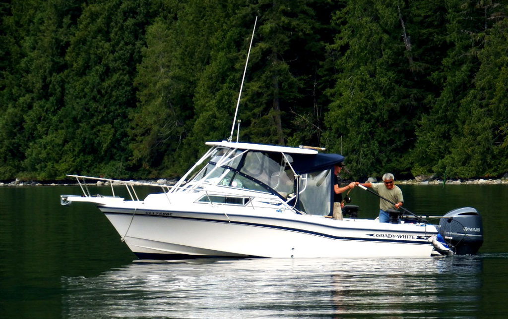 Sport salmon fishing boat Grady White