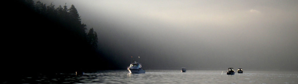 Campbell River morning chinook salmon fishing.